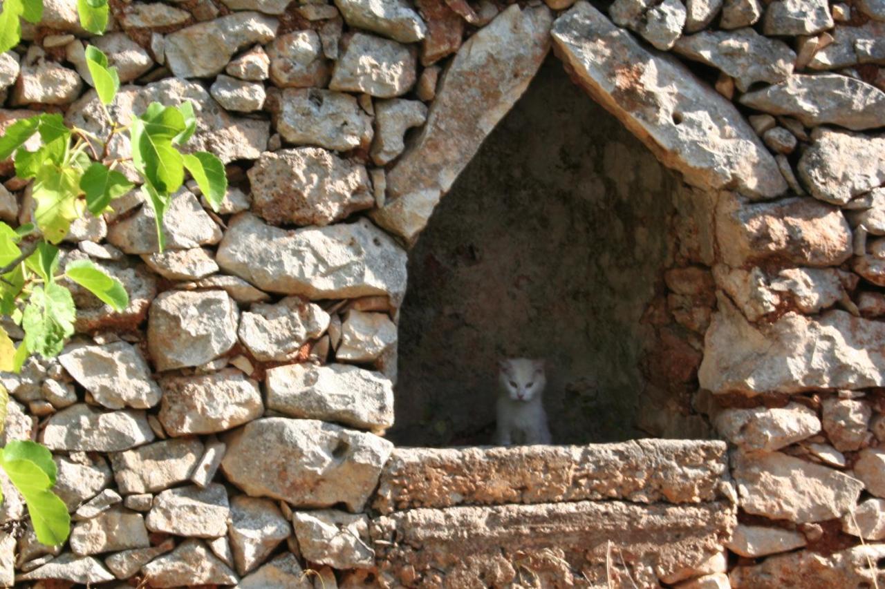 Casa Eduardo Bed & Breakfast Ostuni Dış mekan fotoğraf